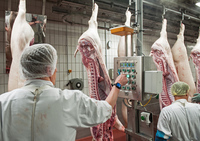 Elf Euro Mindestlohn ab Januar in der Fleischindustrie