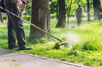 Lohnrunde im Garten- und Landschaftsbau droht zu scheitern