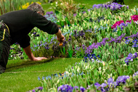 Mehr Geld für Beschäftigte im Gartenbau